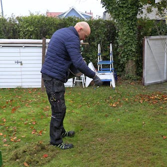Mose i gressplenen: Strø gressfrøene utover plenen Mose i gressplenen: Strø gressfrøene utover plenen